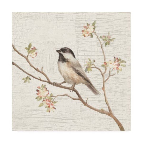 Danhui Nai 'Black Capped Chickadee Vintage Painting' Canvas Art, 35x35, Trademark Fine Art, Mfr#: WAP10802-C3535GG